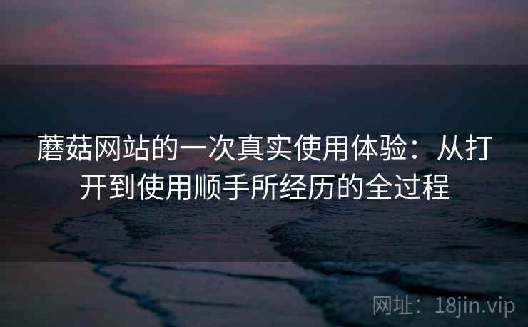 蘑菇网站的一次真实使用体验：从打开到使用顺手所经历的全过程  第2张