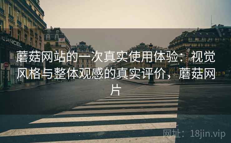 蘑菇网站的一次真实使用体验：视觉风格与整体观感的真实评价，蘑菇网片  第2张