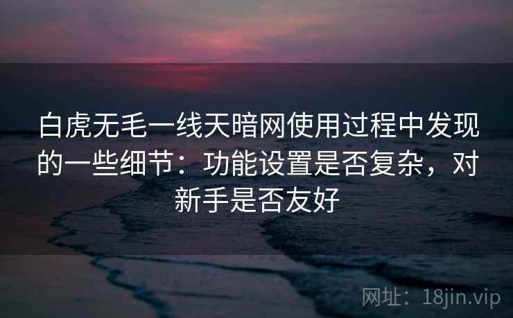 白虎无毛一线天暗网使用过程中发现的一些细节：功能设置是否复杂，对新手是否友好  第2张