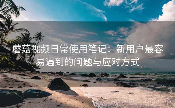 蘑菇视频日常使用笔记：新用户最容易遇到的问题与应对方式  第1张
