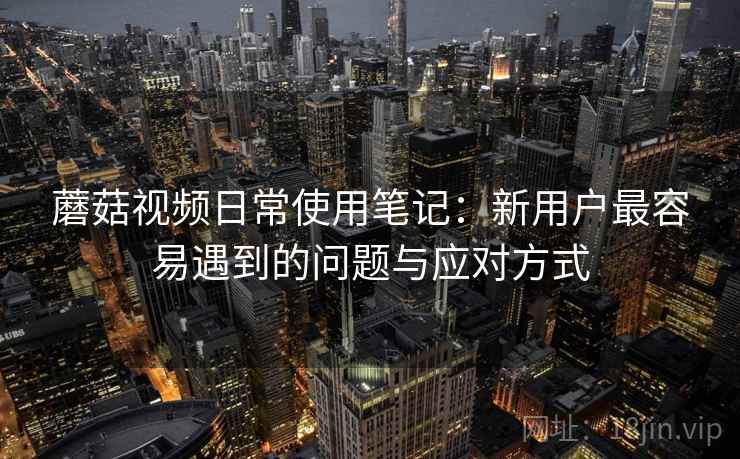 蘑菇视频日常使用笔记：新用户最容易遇到的问题与应对方式  第2张