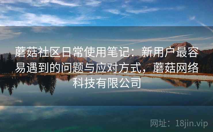 蘑菇社区日常使用笔记:新用户最容易遇到的问题与应对方式,蘑菇网络科技有限公司 第2张 蘑菇社区日常使用笔记:新用户最容易遇到的问题与应对方式,蘑菇网络科技有限公司 第2张