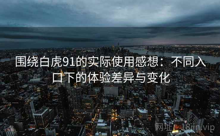 围绕白虎91的实际使用感想:不同入口下的体验差异与变化 第2张 围绕白虎91的实际使用感想:不同入口下的体验差异与变化 第2张