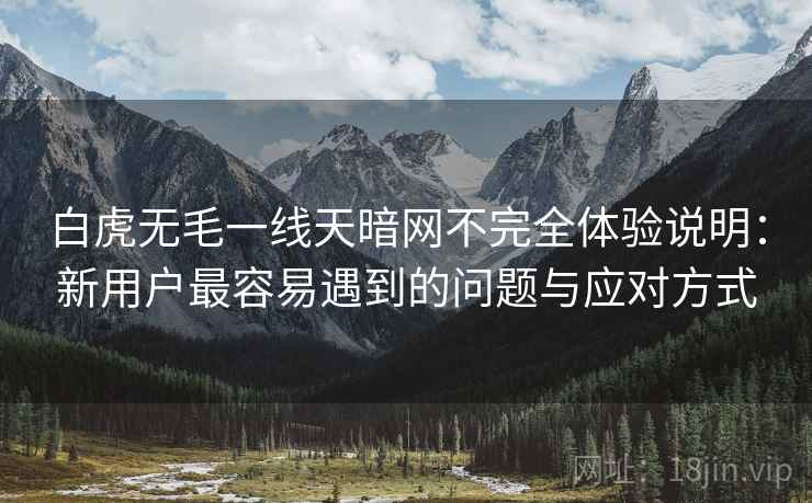 白虎无毛一线天暗网不完全体验说明：新用户最容易遇到的问题与应对方式  第1张
