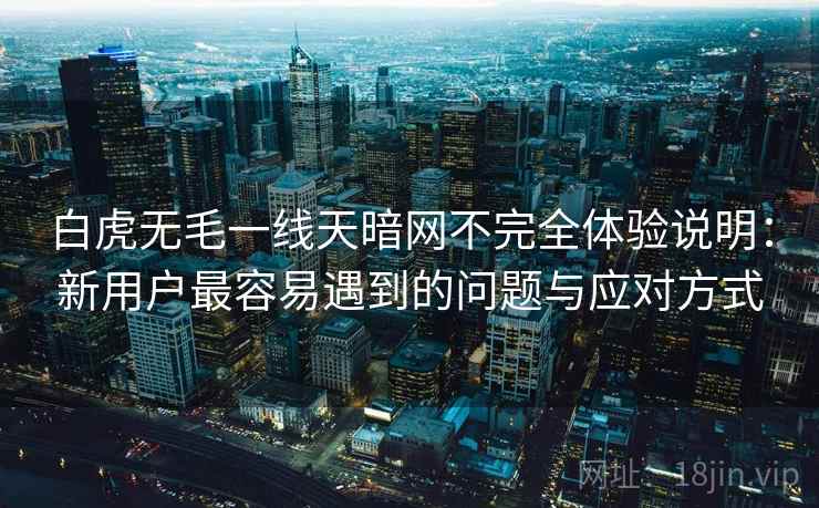 白虎无毛一线天暗网不完全体验说明：新用户最容易遇到的问题与应对方式  第2张