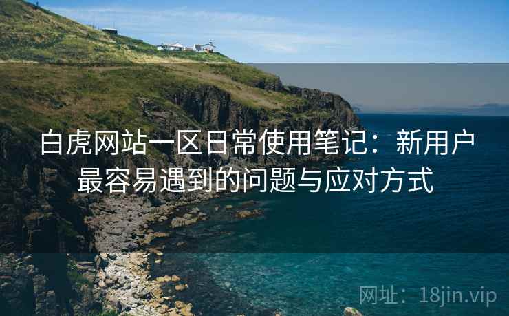 白虎网站一区日常使用笔记：新用户最容易遇到的问题与应对方式  第1张