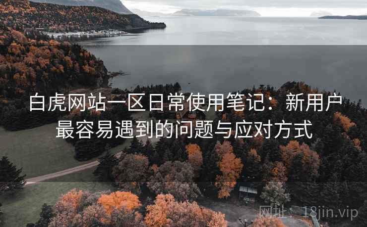 白虎网站一区日常使用笔记：新用户最容易遇到的问题与应对方式  第2张