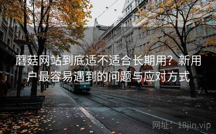 蘑菇网站到底适不适合长期用?新用户最容易遇到的问题与应对方式 第1张 蘑菇网站到底适不适合长期用?新用户最容易遇到的问题与应对方式 第1张