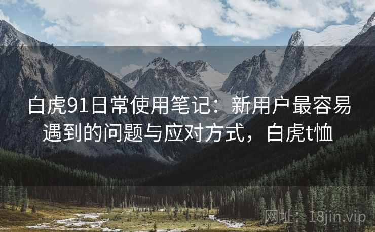 白虎91日常使用笔记:新用户最容易遇到的问题与应对方式,白虎t恤 第2张 白虎91日常使用笔记:新用户最容易遇到的问题与应对方式,白虎t恤 第2张