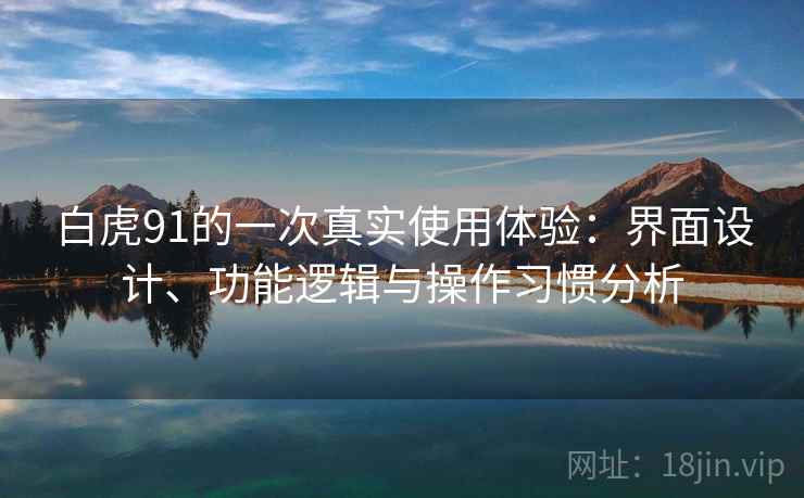 白虎91的一次真实使用体验：界面设计、功能逻辑与操作习惯分析  第1张