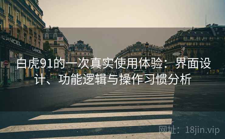 白虎91的一次真实使用体验：界面设计、功能逻辑与操作习惯分析  第2张