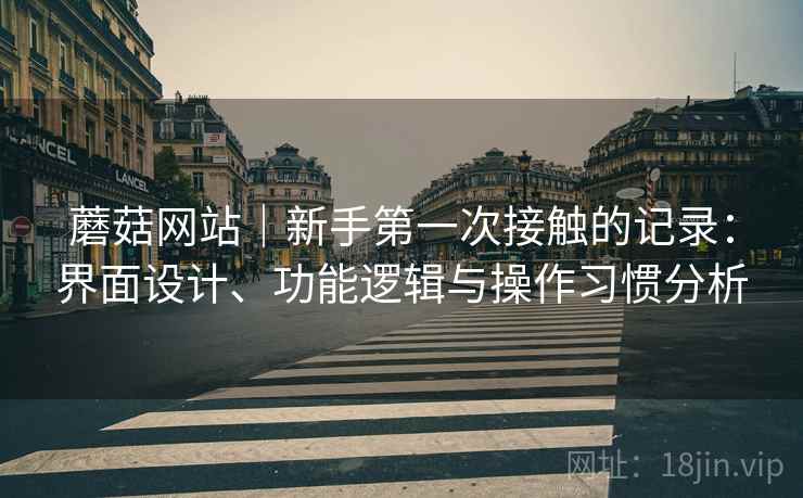 蘑菇网站|新手第一次接触的记录:界面设计、功能逻辑与操作习惯分析 第1张 蘑菇网站|新手第一次接触的记录:界面设计、功能逻辑与操作习惯分析 第1张