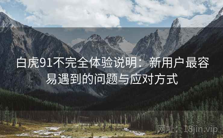 白虎91不完全体验说明:新用户最容易遇到的问题与应对方式 第1张 白虎91不完全体验说明:新用户最容易遇到的问题与应对方式 第1张