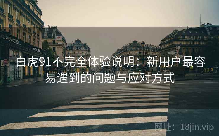 白虎91不完全体验说明:新用户最容易遇到的问题与应对方式 第2张 白虎91不完全体验说明:新用户最容易遇到的问题与应对方式 第2张