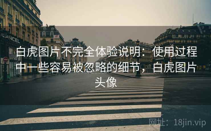 白虎图片不完全体验说明:使用过程中一些容易被忽略的细节,白虎图片头像 第2张 白虎图片不完全体验说明:使用过程中一些容易被忽略的细节,白虎图片头像 第2张