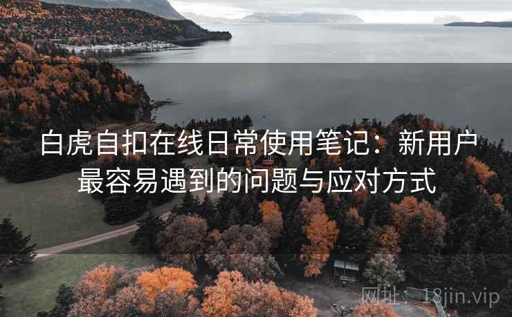 白虎自扣在线日常使用笔记:新用户最容易遇到的问题与应对方式 第2张 白虎自扣在线日常使用笔记:新用户最容易遇到的问题与应对方式 第2张