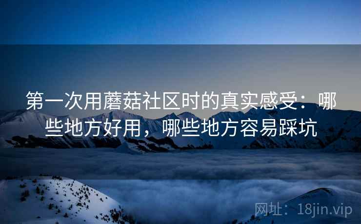 第一次用蘑菇社区时的真实感受:哪些地方好用,哪些地方容易踩坑 第2张 第一次用蘑菇社区时的真实感受:哪些地方好用,哪些地方容易踩坑 第2张