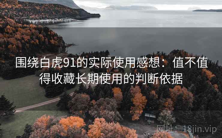 围绕白虎91的实际使用感想:值不值得收藏长期使用的判断依据 第1张 围绕白虎91的实际使用感想:值不值得收藏长期使用的判断依据 第1张